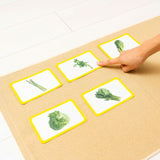 絵カード一部式【葉菜類】《デジタルコンテンツ》